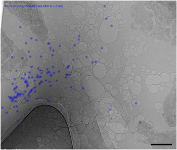 Fig. 7