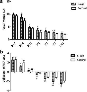 Fig. 11