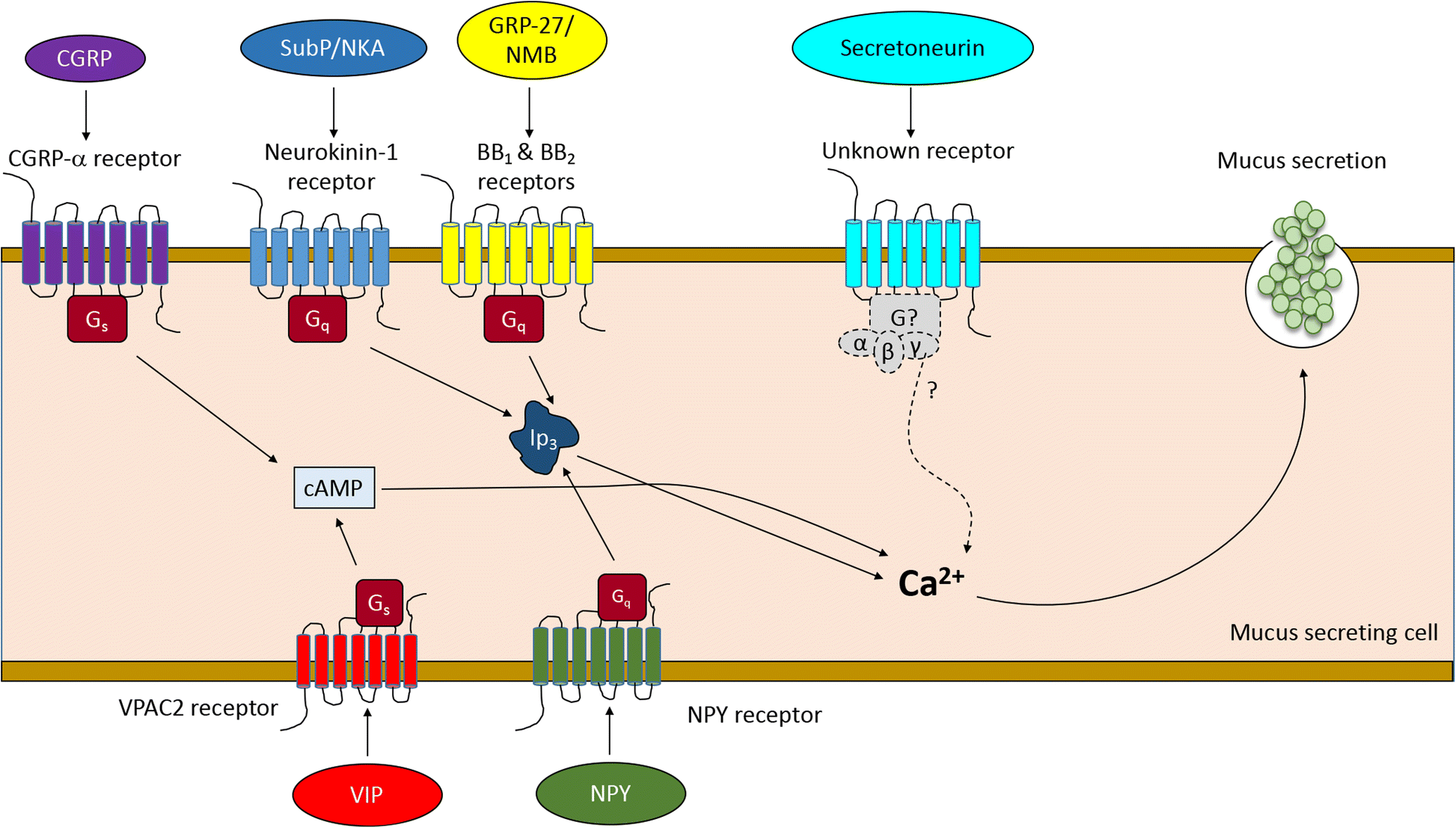 Fig. 2. Simplified schematic ...