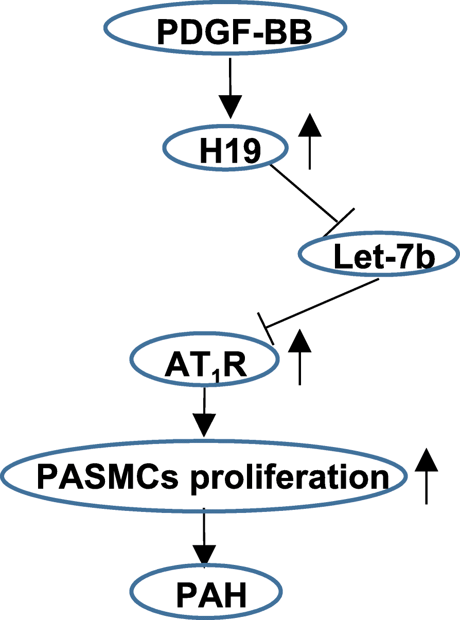 Fig. 11