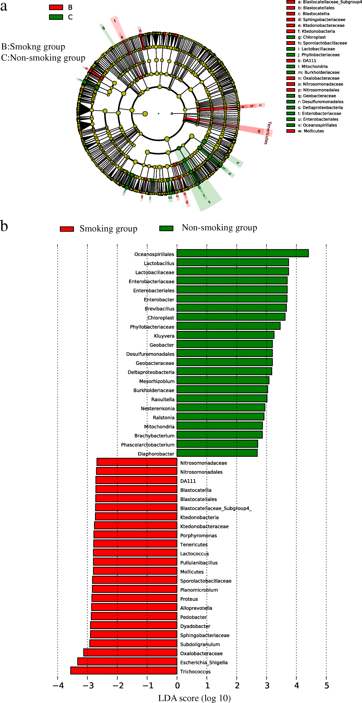 Fig. 10