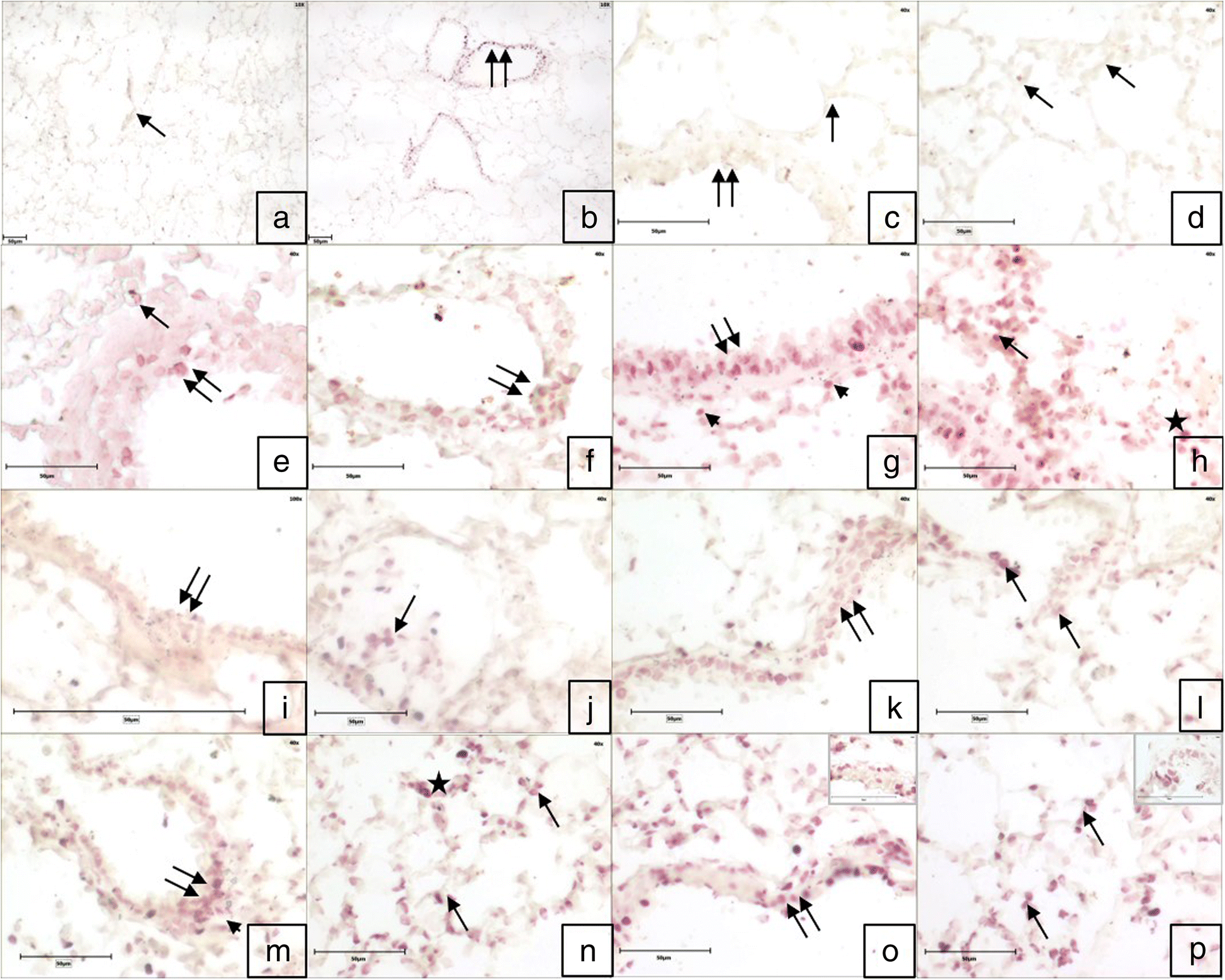 Fig. 9