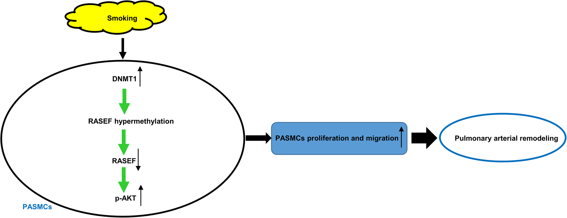 Fig. 11