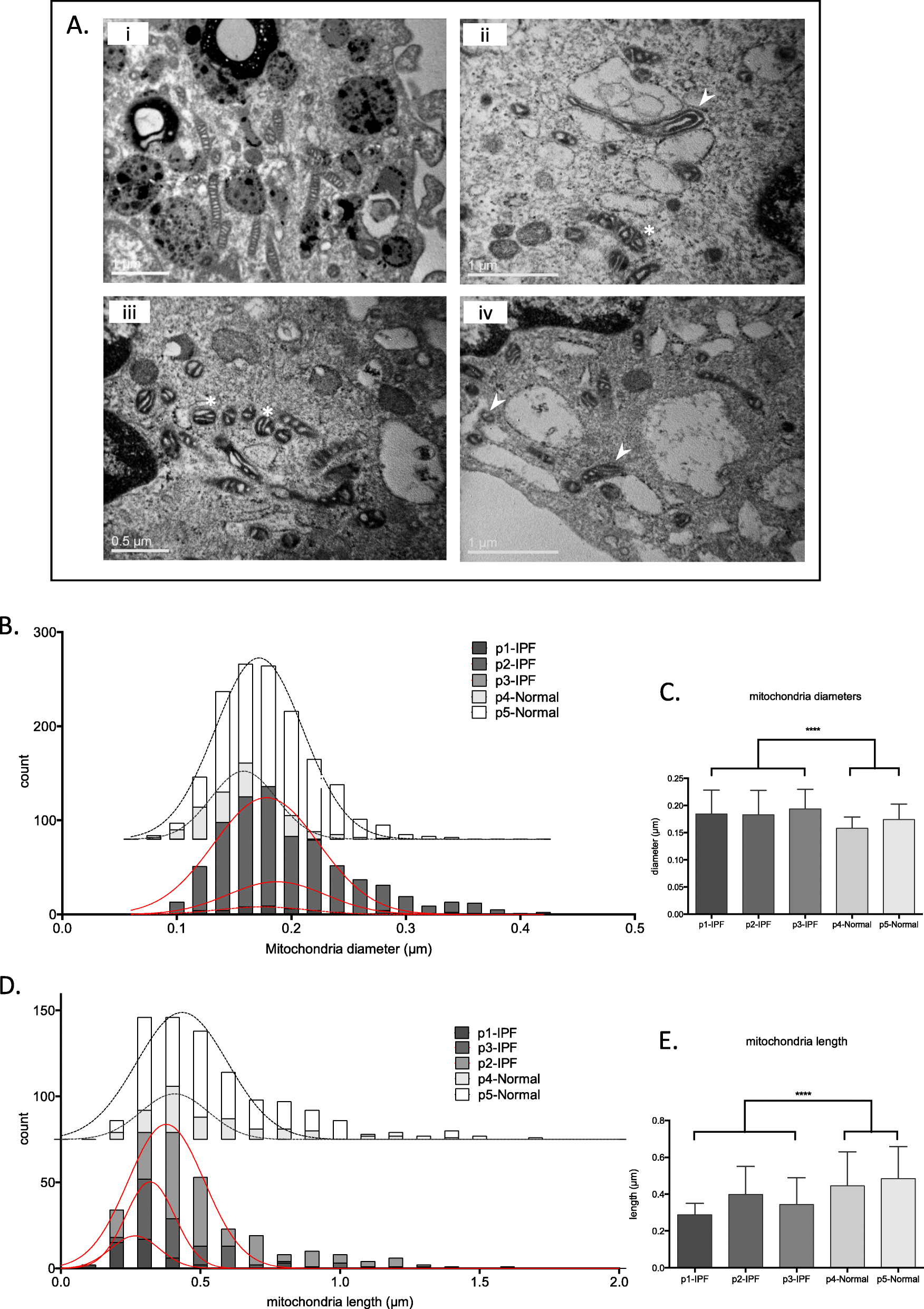 Fig. 5