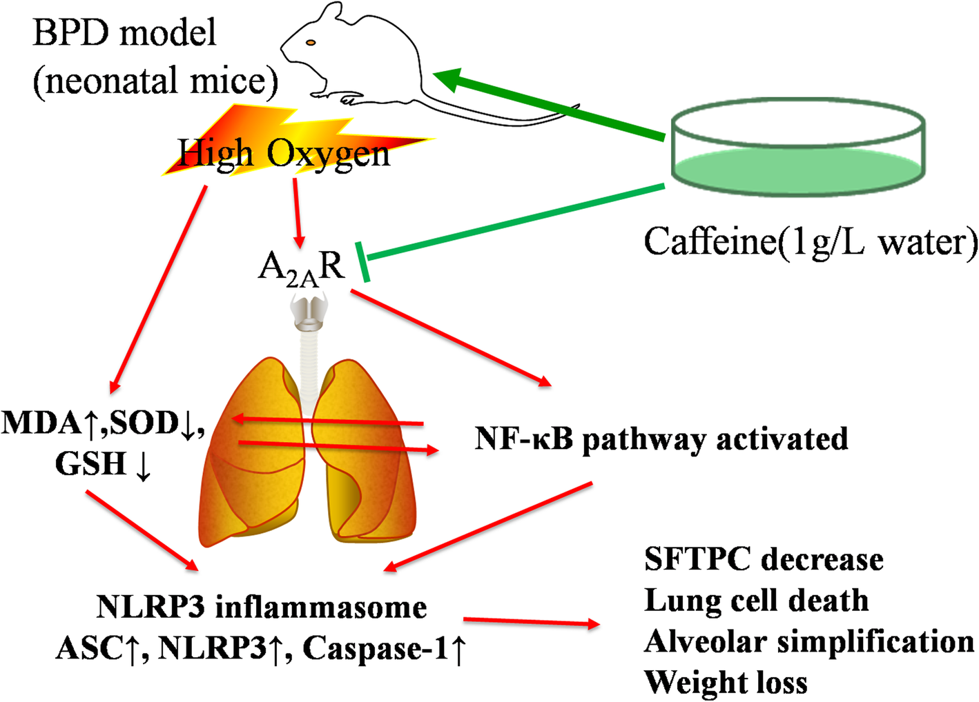 Fig. 8