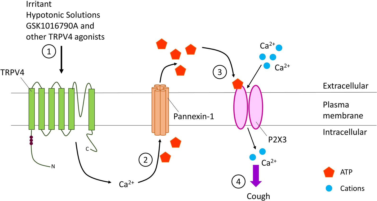 Fig. 2