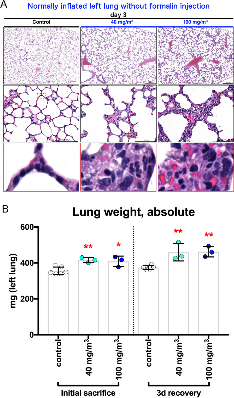 Fig. 11