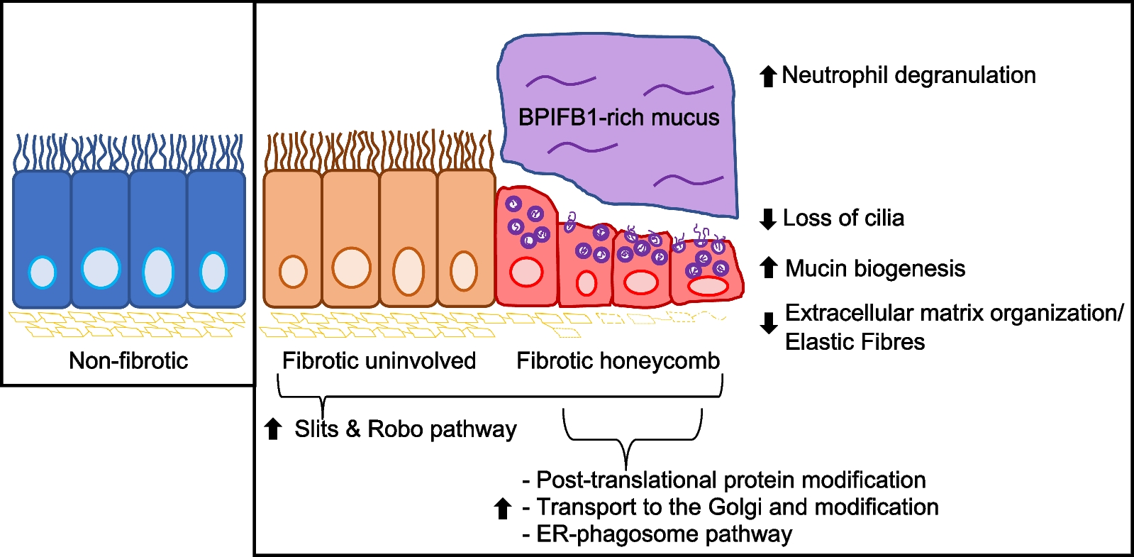 Fig. 9