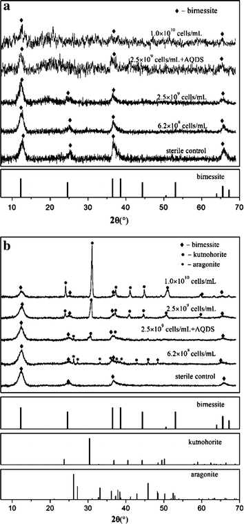 Fig. 6