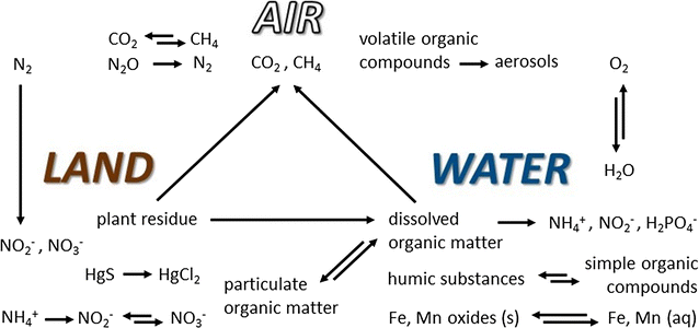 Fig. 1