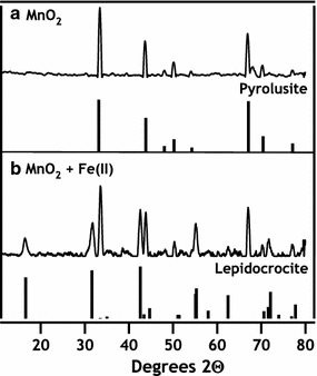 Fig. 1