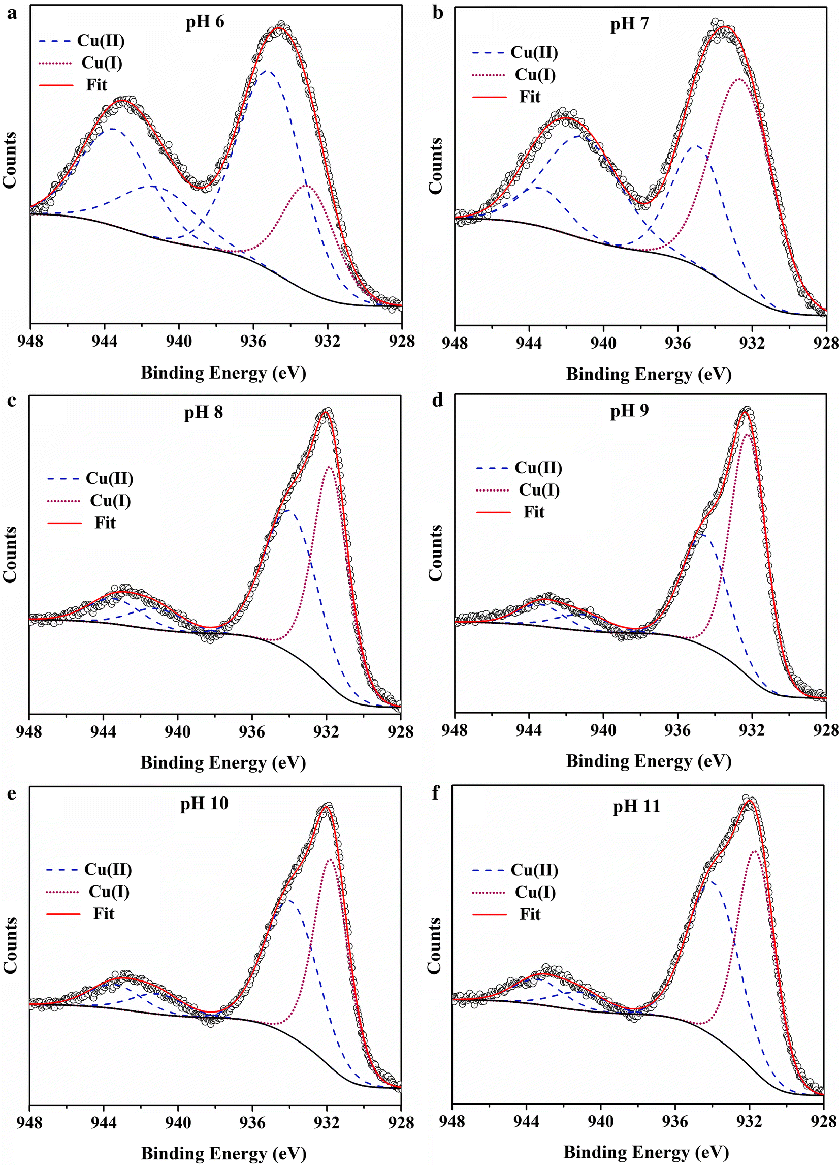 Fig. 5