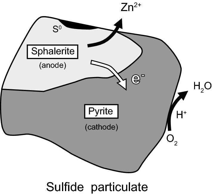 Fig. 7