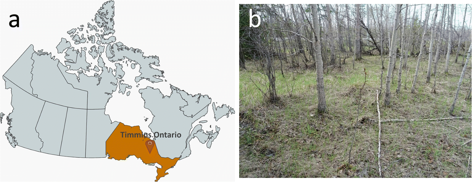 Fig. 1