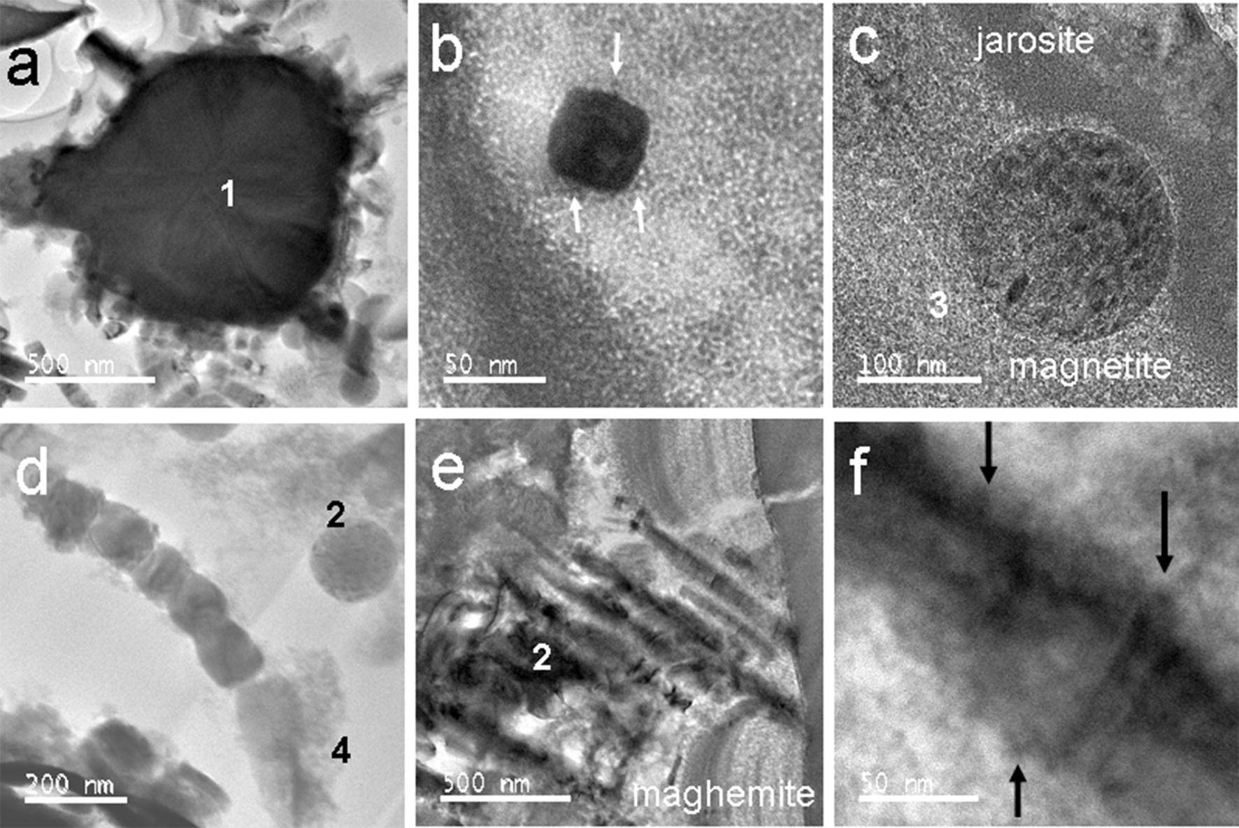 Fig. 6