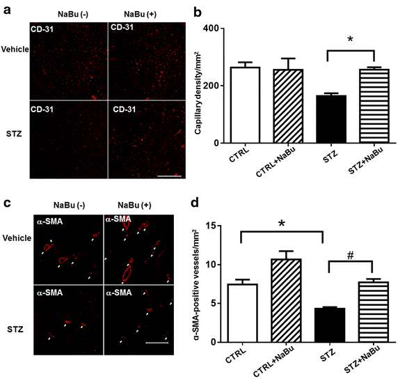 Fig. 9