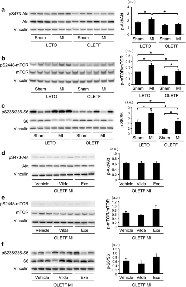 Fig. 7