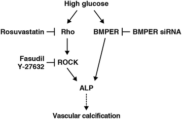 Fig. 7