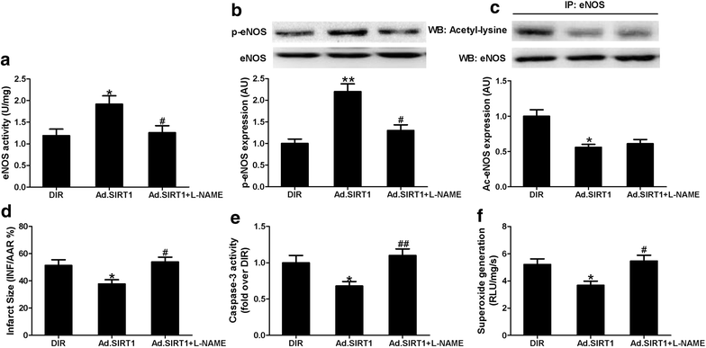 Fig. 7