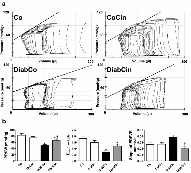 Fig. 6