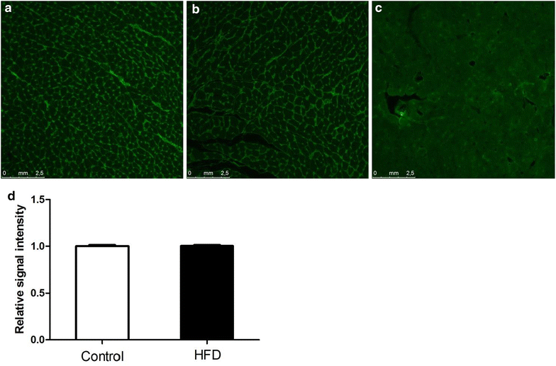 Fig. 7