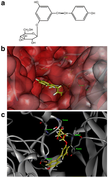 Fig. 6