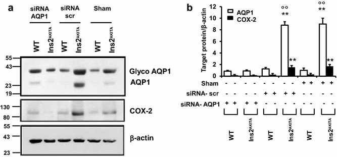 Fig. 8