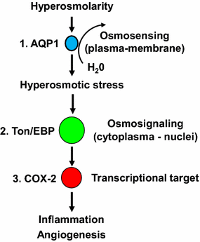 Fig. 9