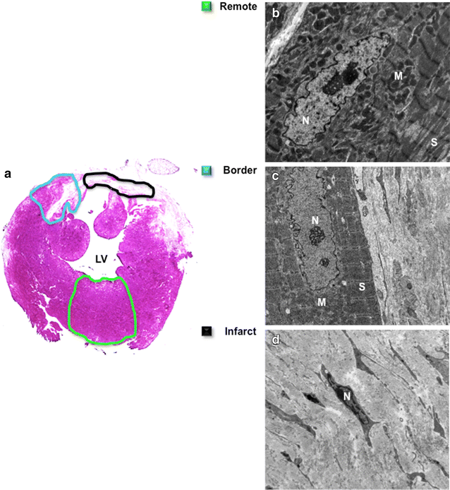 Fig. 6