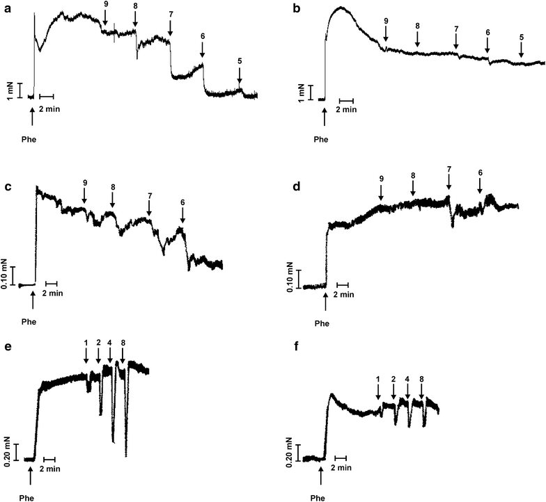 Fig. 2