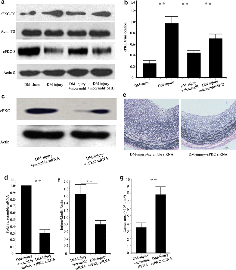 Fig. 6