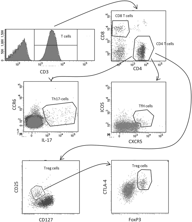 Fig. 1