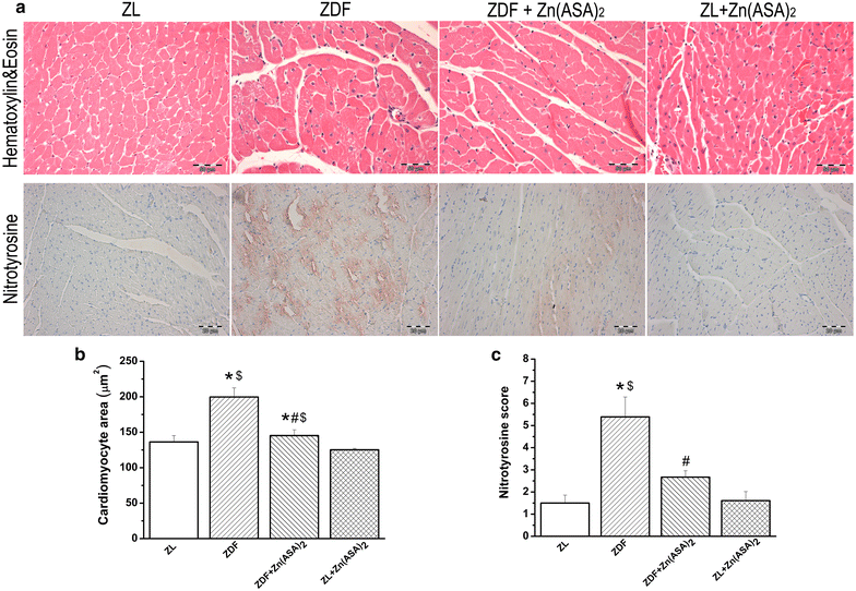 Fig. 5