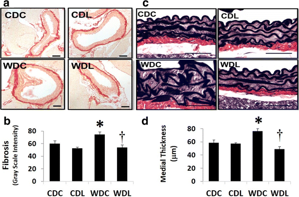 Fig. 4