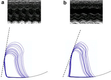 Fig. 2