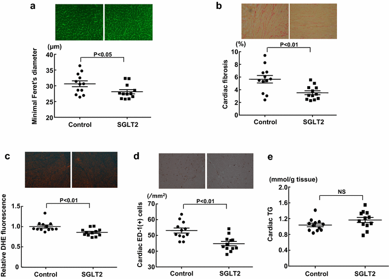 Fig. 6