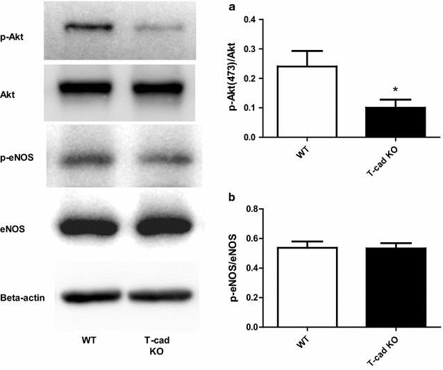 Fig. 5