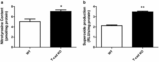 Fig. 7