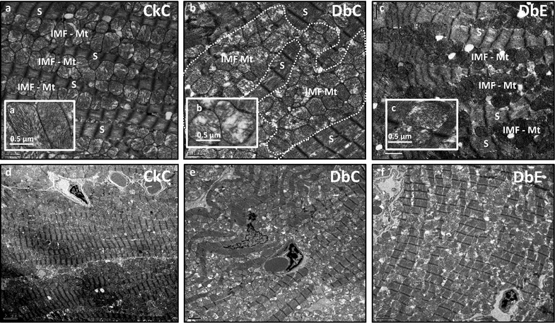 Fig. 7