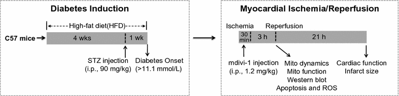 Fig. 1