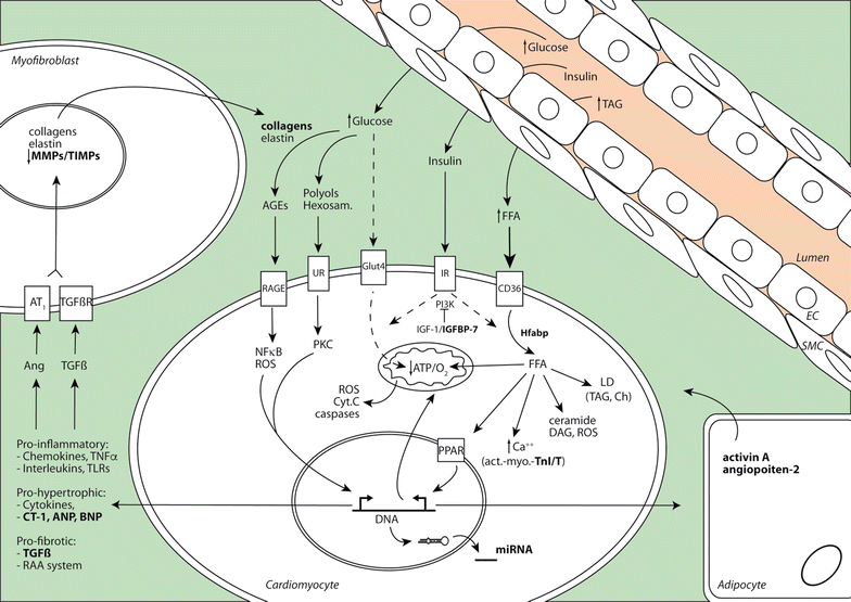 Fig. 1