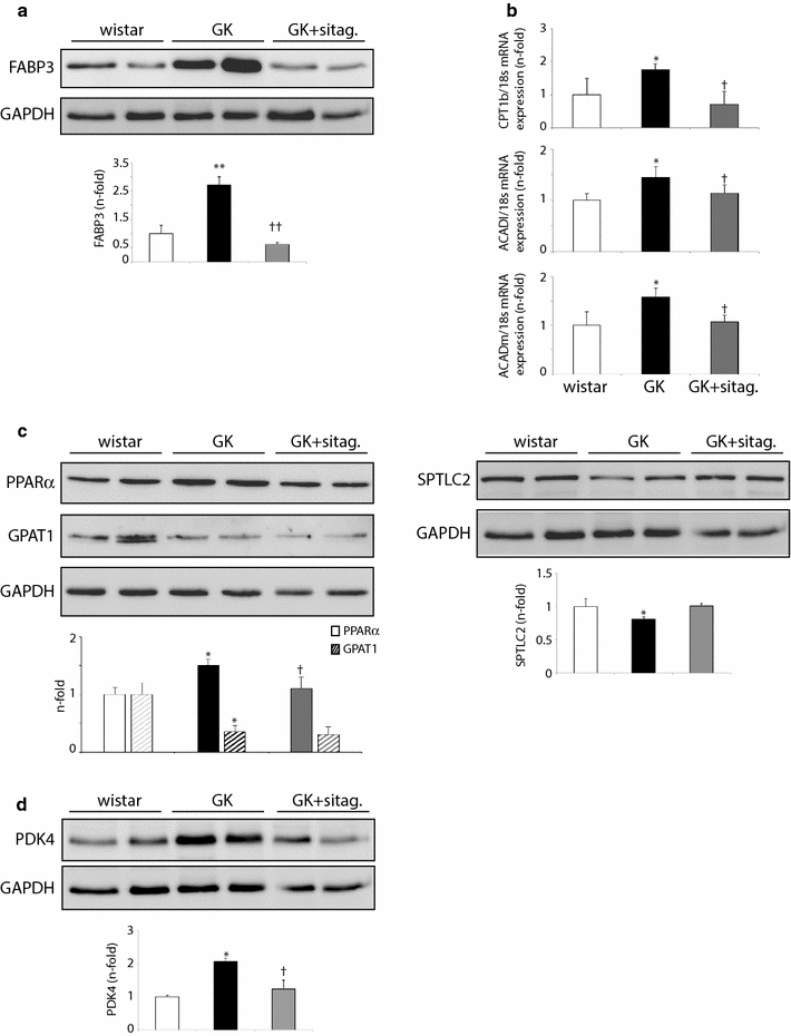 Fig. 5