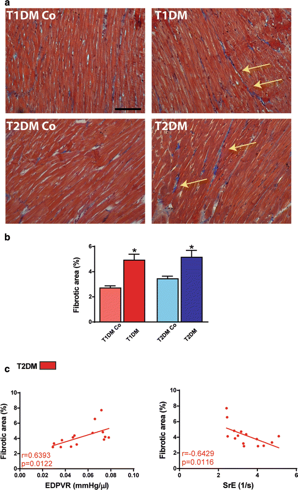 Fig. 7