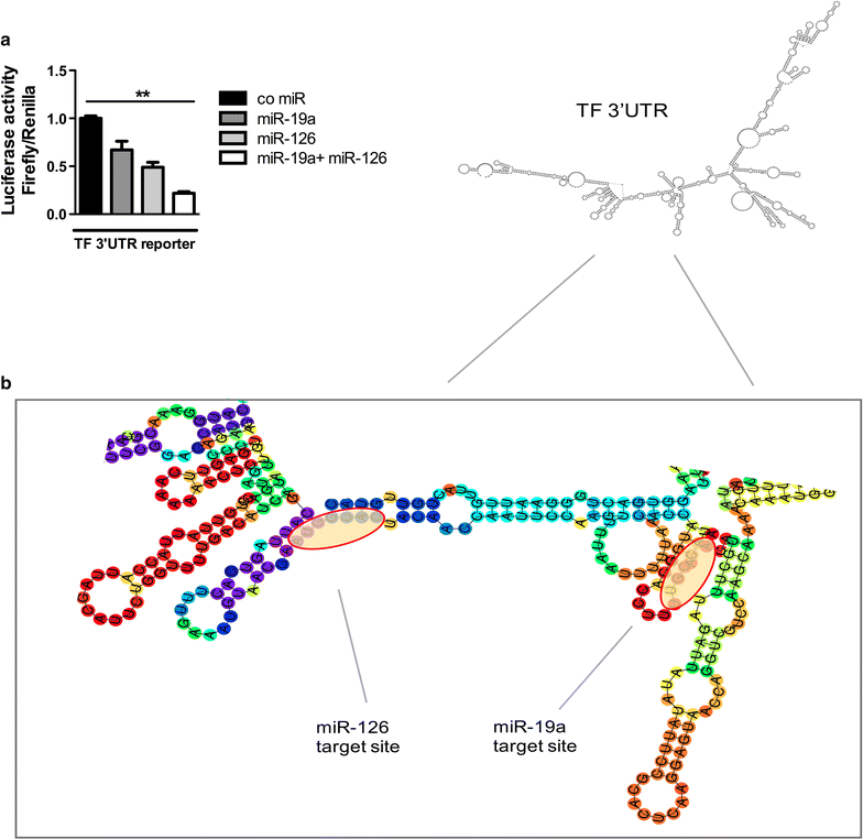 Fig. 6