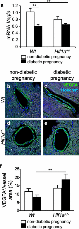 Fig. 8