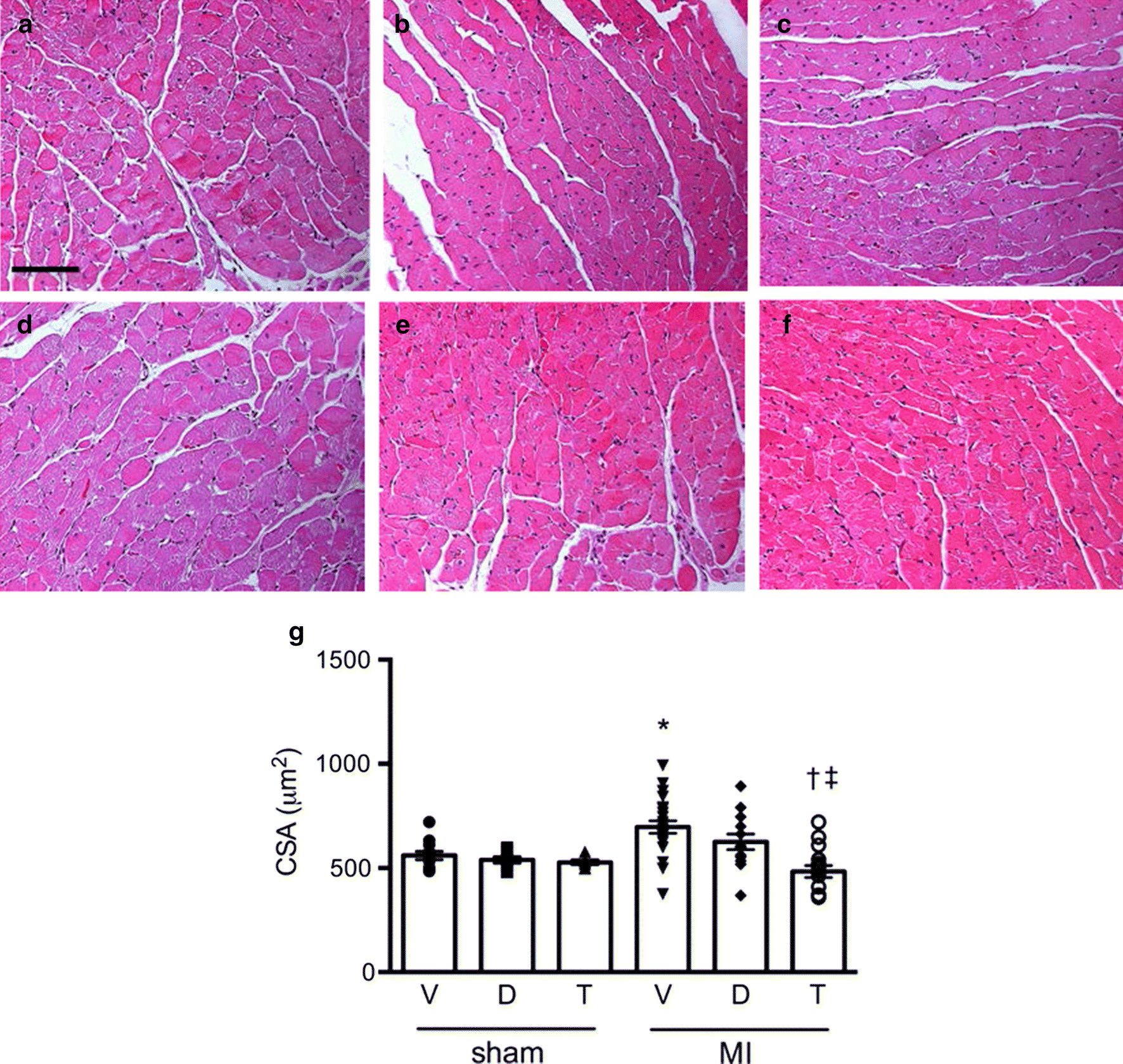 Fig. 4