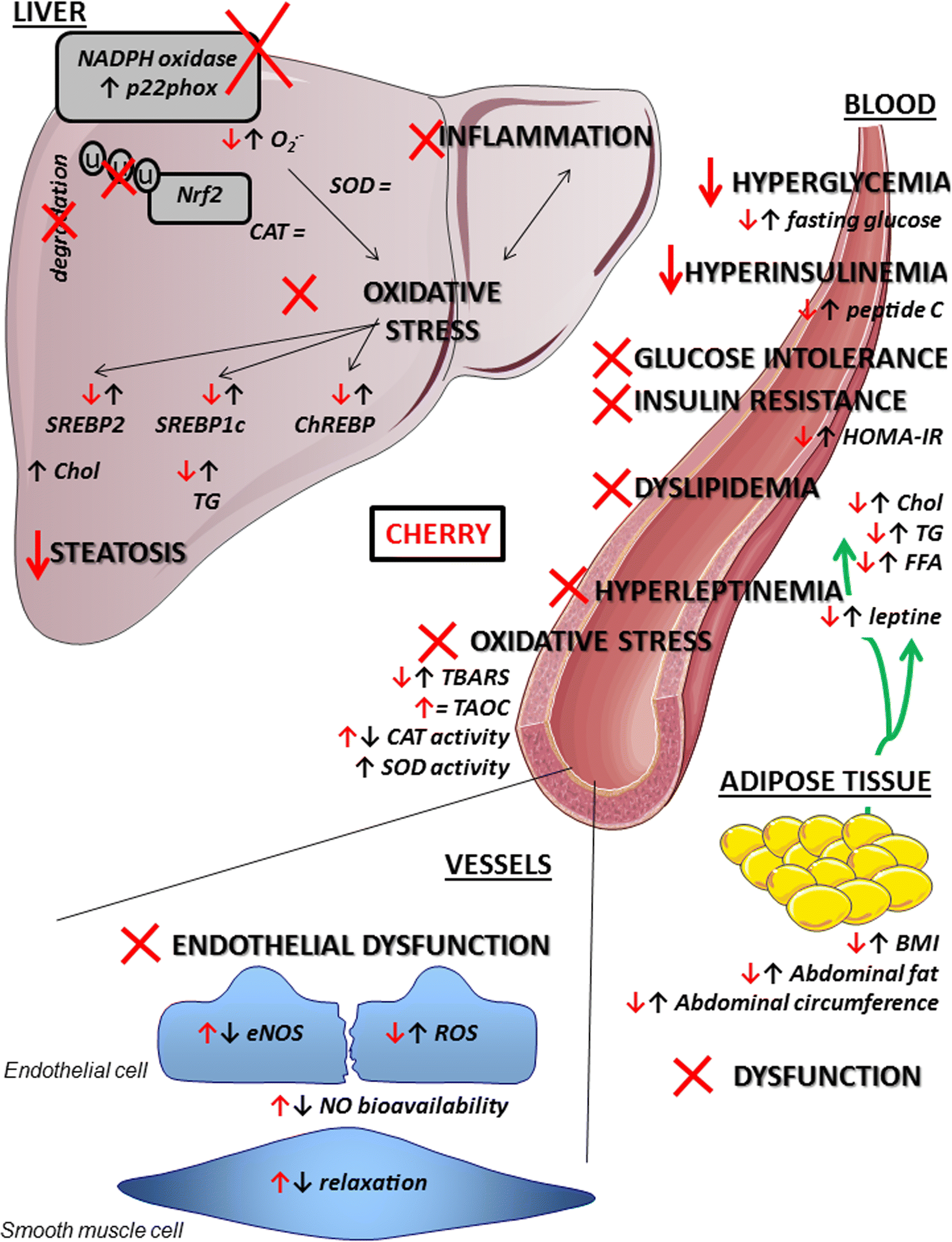 Fig. 6