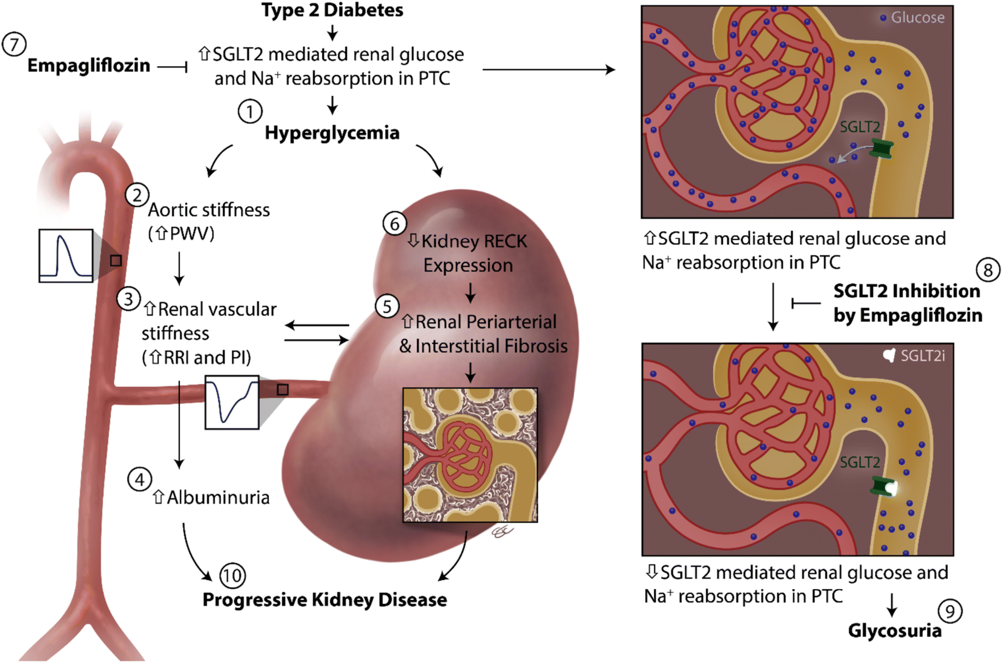 Fig. 6