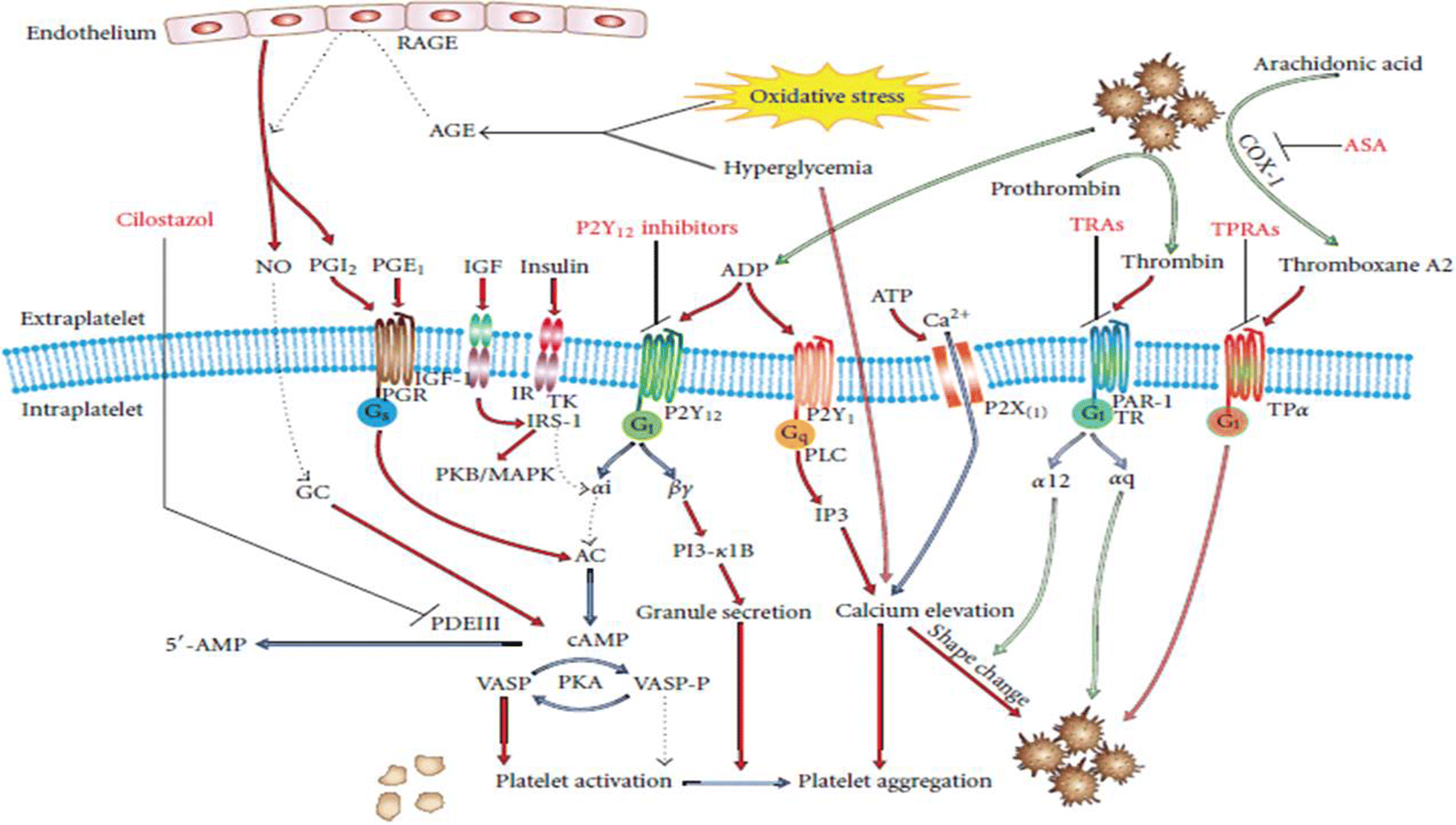 Fig. 4