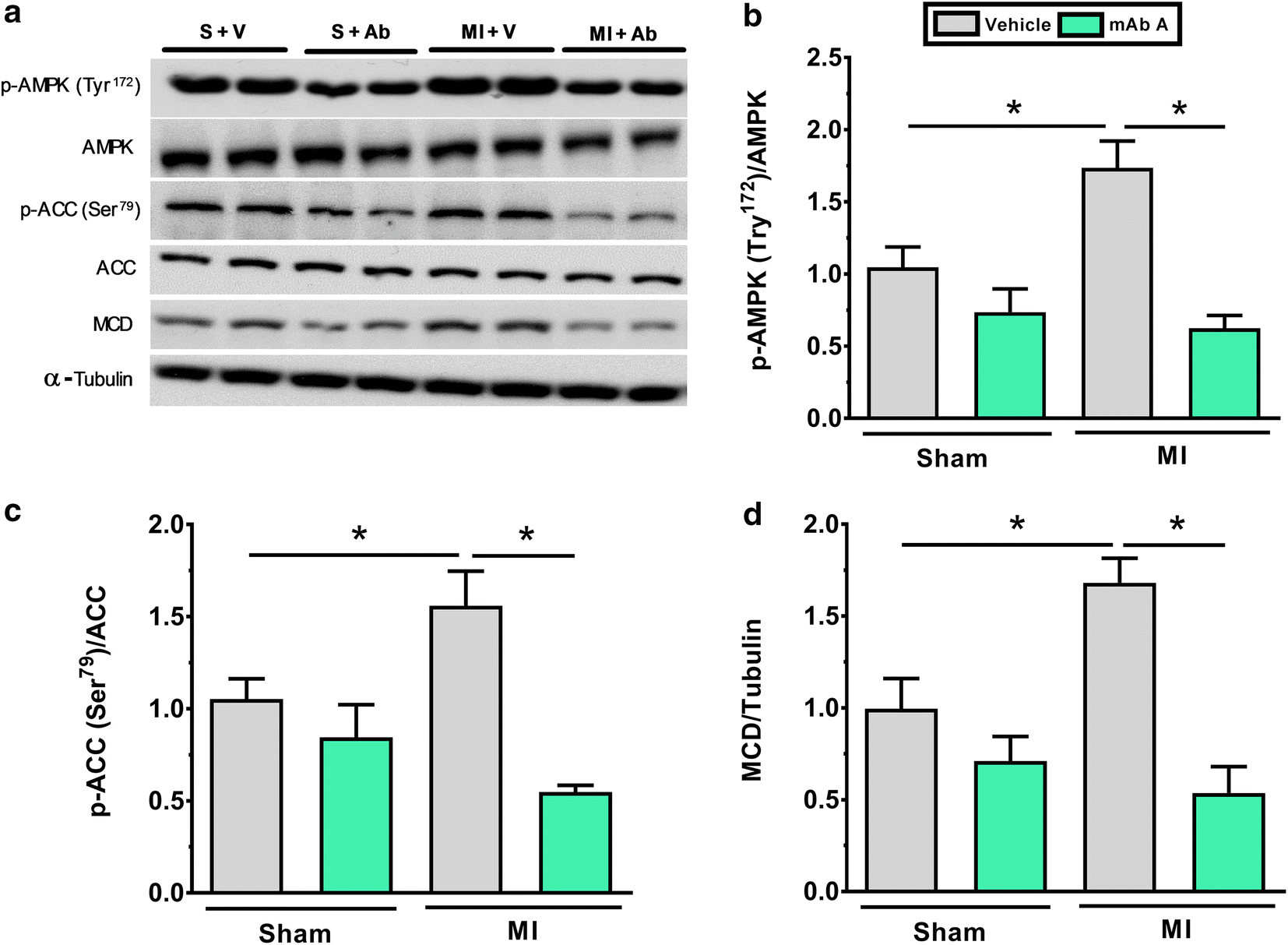 Fig. 7